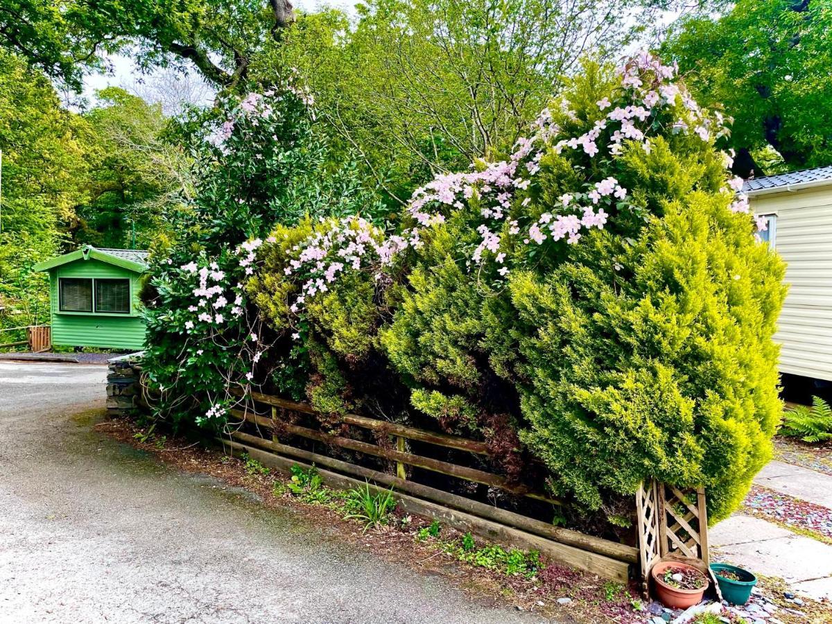 Snowdonia Holidays Caravan Hire - Aberdunant Park - 34 The Green Prenteg Exterior photo